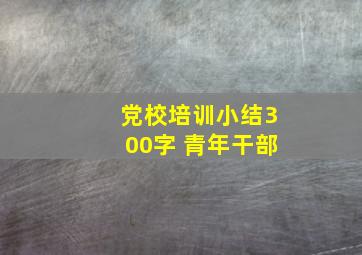 党校培训小结300字 青年干部